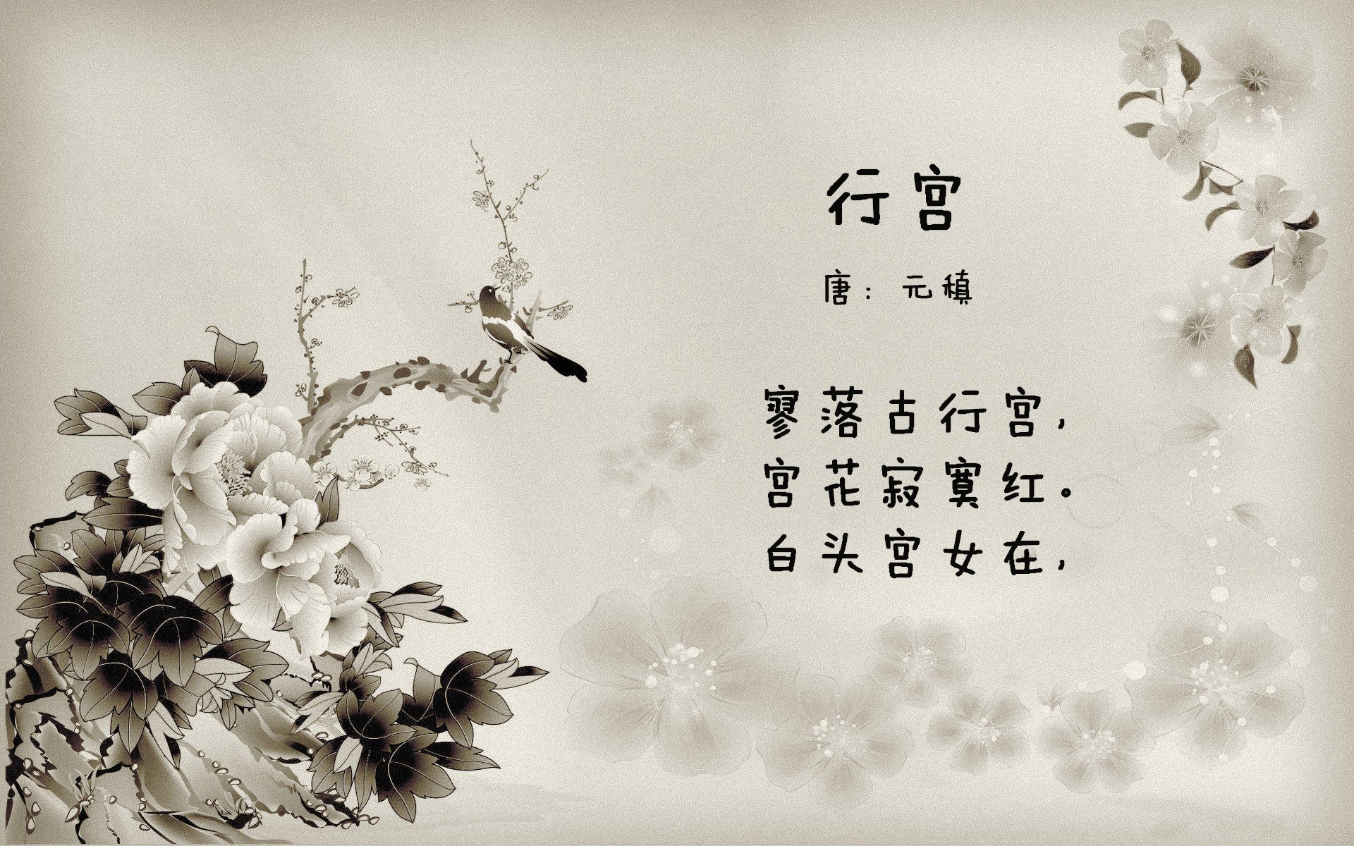 全国青少年马术比赛在南京顺利落幕，全国青少年马术比赛 冠军