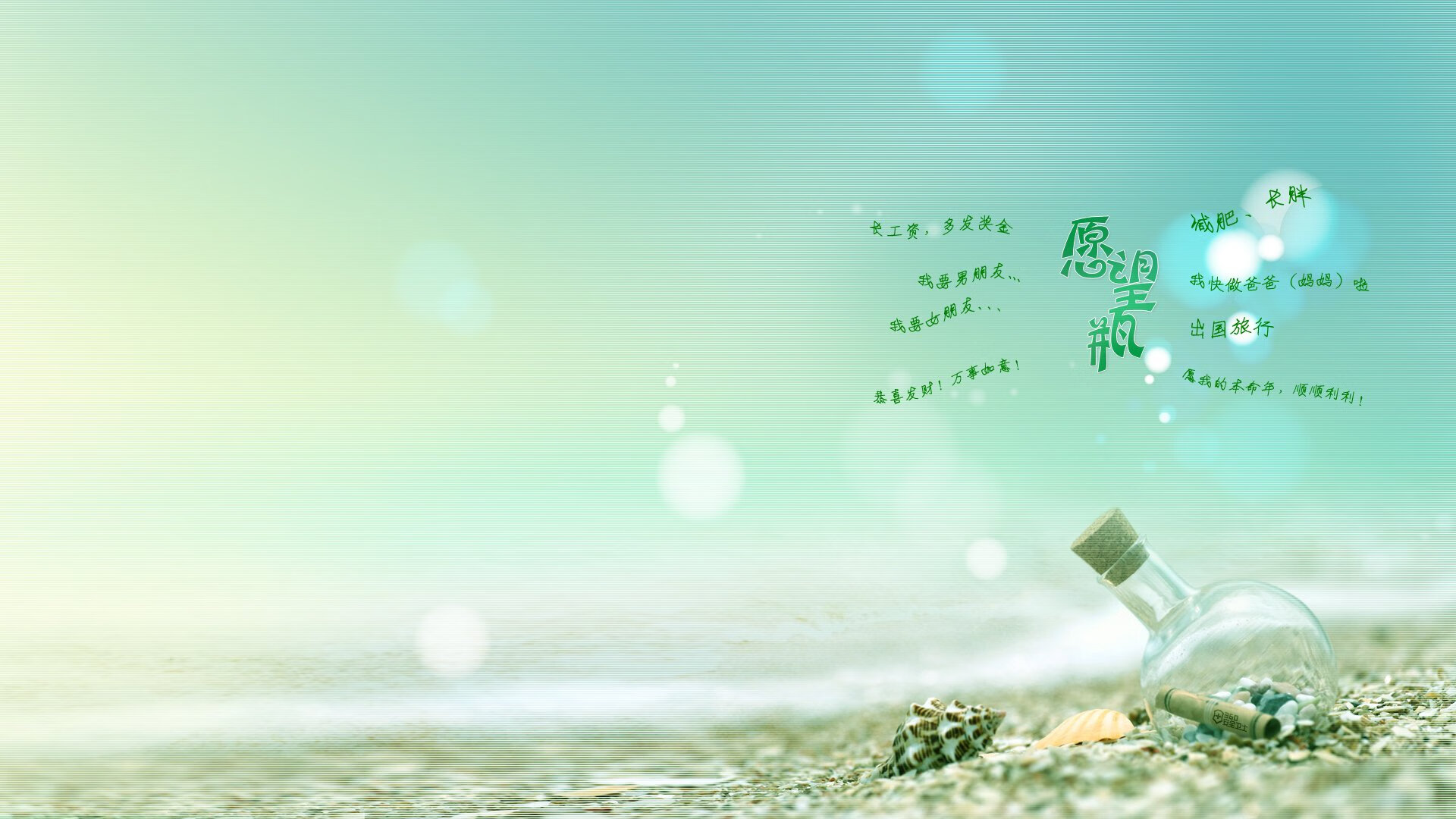 全国青少年马术比赛在南京顺利落幕，全国青少年马术比赛 冠军